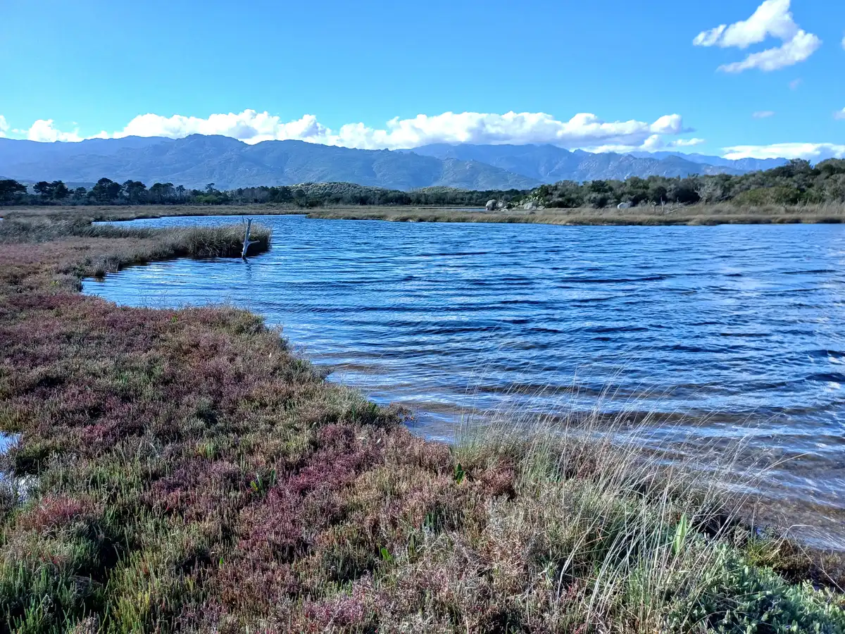 Zone humide du delta de l'Oso, écosystème protégé ZNIEFF