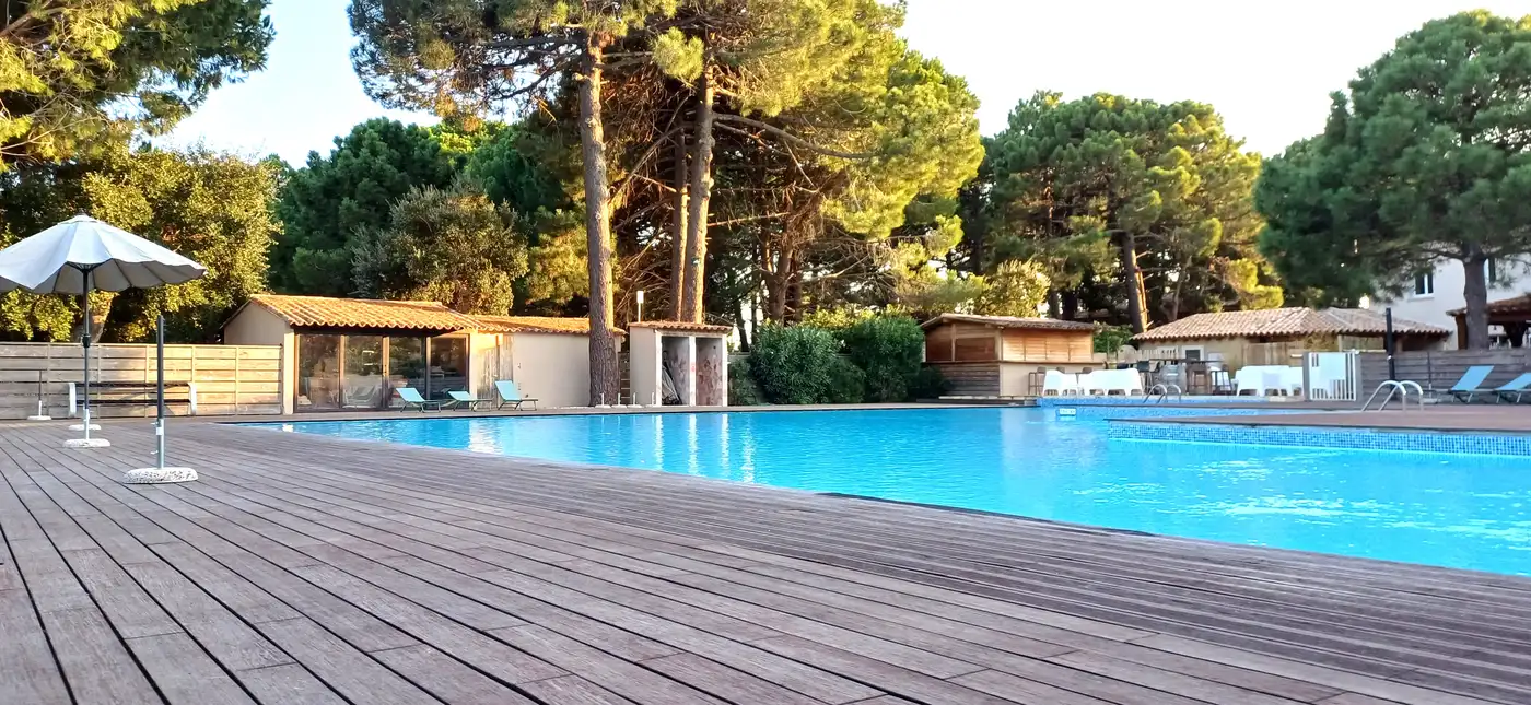 Piscine avec parasols et pins parasols en arrière-plan
